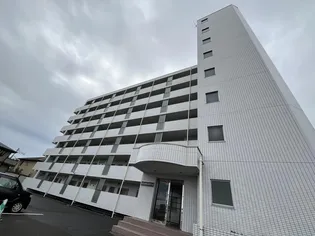 サンパティックアートの画像