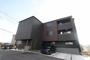 NEW PADDYの画像