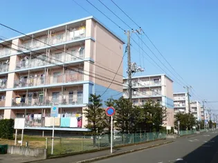 平塚田村の画像