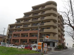 シャルマン リーヴの画像