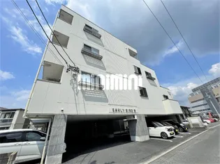 アーリーバードIIIの画像