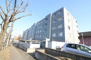 デイトナの画像