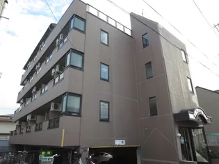 アモールの画像