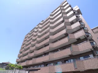 ライオンズヒルズ和光【5階】の外観