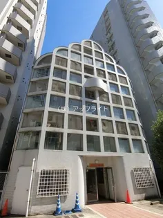 ミニヨンリドーの画像