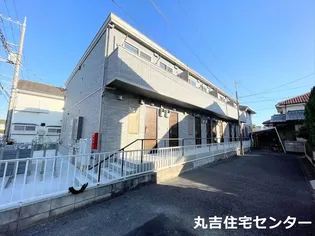 シャルマンの画像