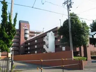 信開ドムス舞崎の画像