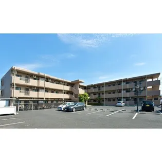 メイフェアの画像