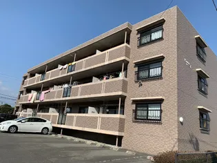 プリムローズKの画像