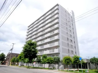 シャロームの画像