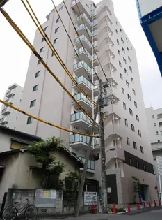 ステラ北進の画像