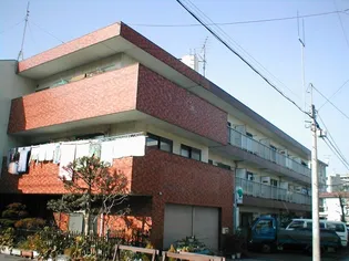 ゴールド18の画像