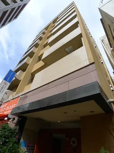 ミラコスタキタミの画像