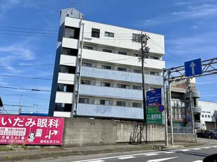 エクセルコートVの画像