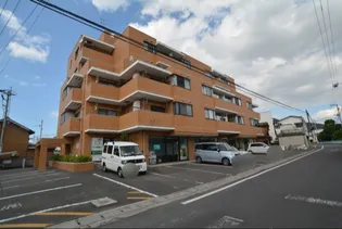 森の木ハイツの画像