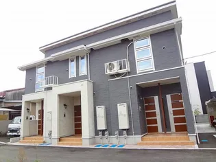 サラマンダーの画像