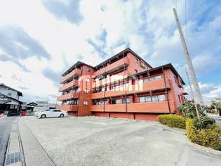 グレイシャス Uの画像