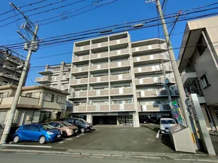 ニューガイアリルーム新大江No.69【7階】の外観