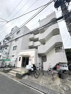 ピソス スエナガの画像