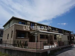 ルナソルCの画像