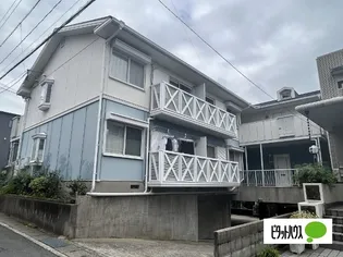 プリムローズの画像