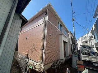 ヘリクリサムの画像