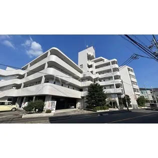 パール25の画像