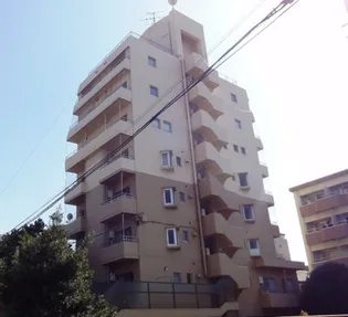 新屋敷3丁目マンション【4階】の外観