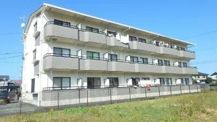 マンションLIVEの画像