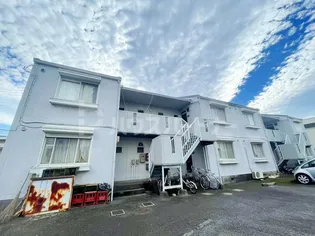 ニコーホームハイツA館【2階】の外観