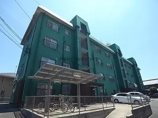 岐阜県岐阜市須賀3【マンション】の外観