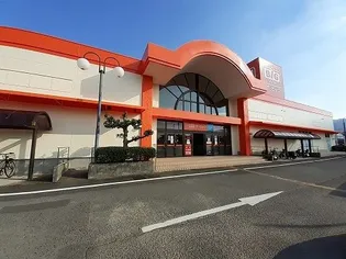 オリパラ 21【2階】の周辺