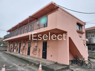 ラブリーローズの画像