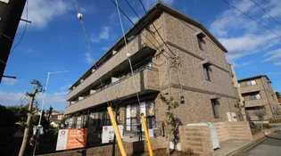 コリーヌ アンの画像