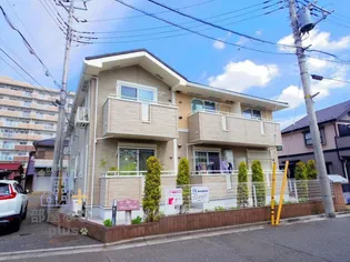 パインフィールドの画像