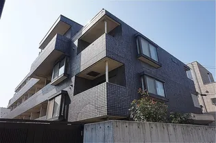 レディースHAYASHIの画像