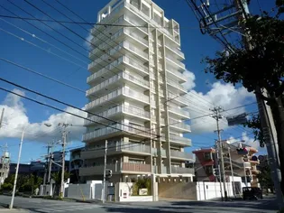 ワイズベルグランデアラハの画像