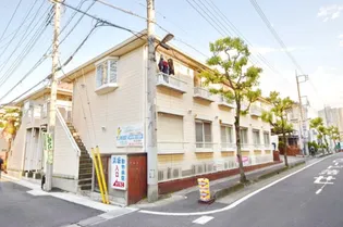 マリーズBの画像