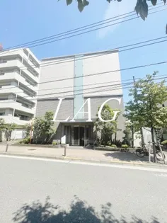 MARK FORESTの画像