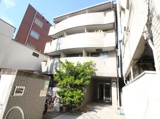 エスティーコートの画像