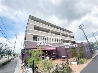 ソレイユ竹の山の画像