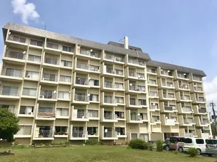 南風パーフェクトの画像