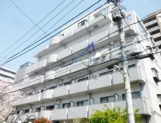 アドニス島田【4階】の外観