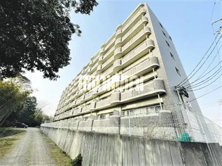 ロイヤル ふじの画像