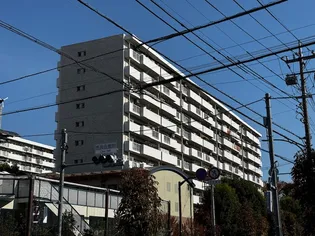 昭島つつじが丘ハイツ12号棟【10階】の外観