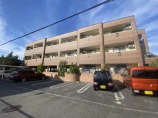 ヒールコート沢田の画像