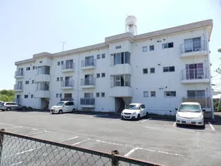 ハイツ蓼原 Bの画像