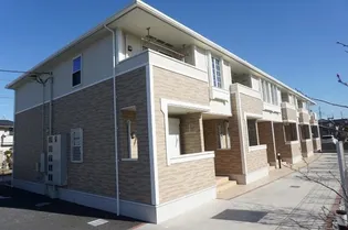 シャルマン Yの画像