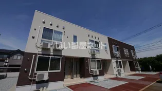 フローラMの画像