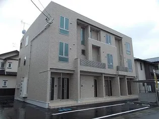 モデルノ 澤の画像